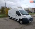 Білий Фіат Дукато, об'ємом двигуна 2.3 л та пробігом 290 тис. км за 8000 $, фото 10 на Automoto.ua