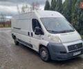 Білий Фіат Дукато, об'ємом двигуна 2.3 л та пробігом 330 тис. км за 3650 $, фото 2 на Automoto.ua