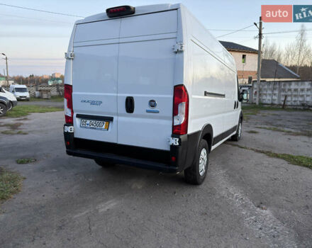 Белый Фиат Дукато, объемом двигателя 2.3 л и пробегом 242 тыс. км за 16400 $, фото 10 на Automoto.ua