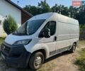 Белый Фиат Дукато, объемом двигателя 0 л и пробегом 160 тыс. км за 12000 $, фото 1 на Automoto.ua