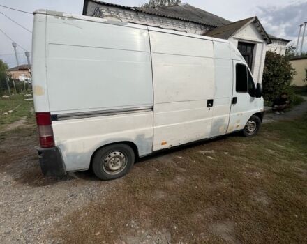 Білий Фіат Дукато, об'ємом двигуна 2.8 л та пробігом 2 тис. км за 2650 $, фото 5 на Automoto.ua