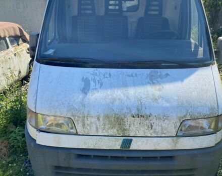 Белый Фиат Дукато, объемом двигателя 2.5 л и пробегом 200 тыс. км за 953 $, фото 9 на Automoto.ua