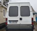 Білий Фіат Дукато, об'ємом двигуна 2.5 л та пробігом 325 тис. км за 3700 $, фото 3 на Automoto.ua