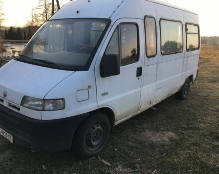 Белый Фиат Дукато, объемом двигателя 2.5 л и пробегом 320 тыс. км за 1600 $, фото 3 на Automoto.ua