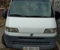 Фиат Дукато 1995 в Днепре (Днепропетровске) на Automoto.ua Белый Фиат Дукато, объемом двигателя 2.5 л и пробегом 100 тыс. км за 3000 $, фото 1 на Automoto.ua