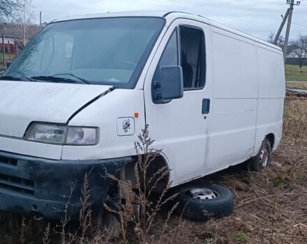 Белый Фиат Дукато, объемом двигателя 2.5 л и пробегом 16 тыс. км за 947 $, фото 1 на Automoto.ua