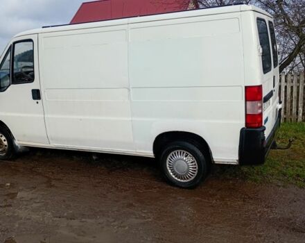 Белый Фиат Дукато, объемом двигателя 3 л и пробегом 150 тыс. км за 3500 $, фото 4 на Automoto.ua