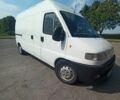 Белый Фиат Дукато, объемом двигателя 2.8 л и пробегом 115 тыс. км за 3700 $, фото 1 на Automoto.ua