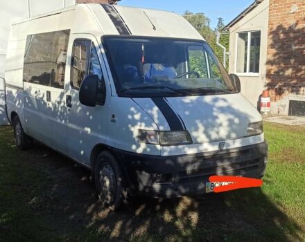 Белый Фиат Дукато, объемом двигателя 0 л и пробегом 350 тыс. км за 2900 $, фото 1 на Automoto.ua