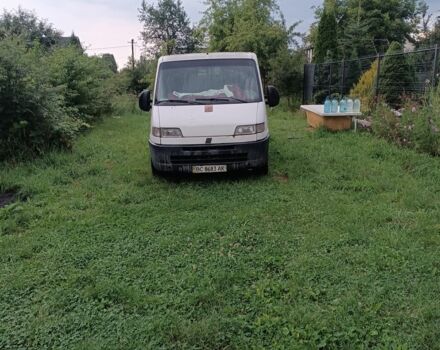 Белый Фиат Дукато, объемом двигателя 1 л и пробегом 250 тыс. км за 1600 $, фото 6 на Automoto.ua