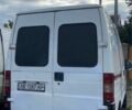 Білий Фіат Дукато, об'ємом двигуна 2.8 л та пробігом 550 тис. км за 1700 $, фото 12 на Automoto.ua