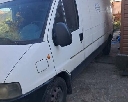 Белый Фиат Дукато, объемом двигателя 2.8 л и пробегом 560 тыс. км за 3700 $, фото 1 на Automoto.ua