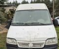 Білий Фіат Дукато, об'ємом двигуна 2.3 л та пробігом 400 тис. км за 2000 $, фото 1 на Automoto.ua