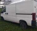 Білий Фіат Дукато, об'ємом двигуна 2 л та пробігом 2 тис. км за 3400 $, фото 6 на Automoto.ua