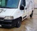 Белый Фиат Дукато, объемом двигателя 2.8 л и пробегом 280 тыс. км за 2500 $, фото 8 на Automoto.ua