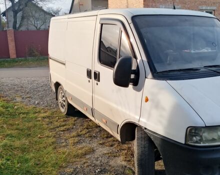 Белый Фиат Дукато, объемом двигателя 2.8 л и пробегом 342 тыс. км за 3500 $, фото 1 на Automoto.ua