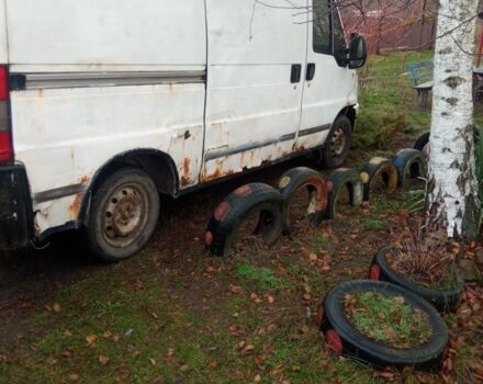 Белый Фиат Дукато, объемом двигателя 0 л и пробегом 5 тыс. км за 1450 $, фото 2 на Automoto.ua