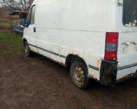 Белый Фиат Дукато, объемом двигателя 0 л и пробегом 5 тыс. км за 1450 $, фото 1 на Automoto.ua