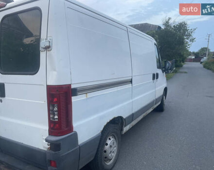Белый Фиат Дукато, объемом двигателя 2.29 л и пробегом 494 тыс. км за 3500 $, фото 3 на Automoto.ua