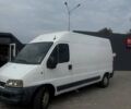 Белый Фиат Дукато, объемом двигателя 2.8 л и пробегом 420 тыс. км за 4250 $, фото 1 на Automoto.ua