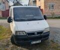 Белый Фиат Дукато, объемом двигателя 2.8 л и пробегом 342 тыс. км за 3500 $, фото 1 на Automoto.ua