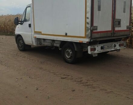 Белый Фиат Дукато, объемом двигателя 2.3 л и пробегом 445 тыс. км за 2300 $, фото 1 на Automoto.ua