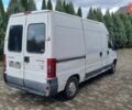 Белый Фиат Дукато, объемом двигателя 2.8 л и пробегом 300 тыс. км за 1650 $, фото 3 на Automoto.ua
