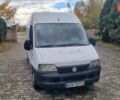 Белый Фиат Дукато, объемом двигателя 2.8 л и пробегом 300 тыс. км за 1650 $, фото 4 на Automoto.ua