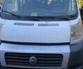 Белый Фиат Дукато, объемом двигателя 2.2 л и пробегом 290 тыс. км за 5600 $, фото 1 на Automoto.ua