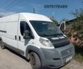 Фіат Дукато 2007 у Харкові на Automoto.ua Білий Фіат Дукато, об'ємом двигуна 3 л та пробігом 500 тис. км за 5000 $, фото 1 на Automoto.ua