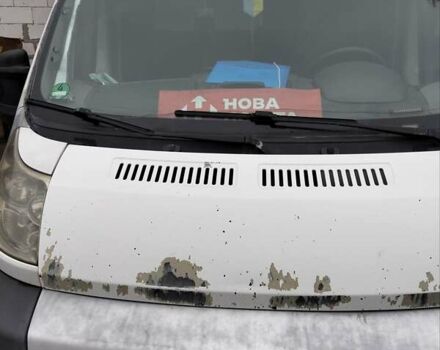 Білий Фіат Дукато, об'ємом двигуна 2.3 л та пробігом 500 тис. км за 6000 $, фото 1 на Automoto.ua