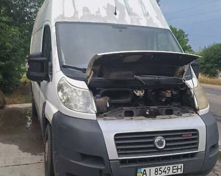 Белый Фиат Дукато, объемом двигателя 3 л и пробегом 5 тыс. км за 9000 $, фото 2 на Automoto.ua