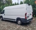 Белый Фиат Дукато, объемом двигателя 2.29 л и пробегом 370 тыс. км за 11500 $, фото 31 на Automoto.ua