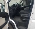Белый Фиат Дукато, объемом двигателя 2.3 л и пробегом 244 тыс. км за 17100 $, фото 15 на Automoto.ua