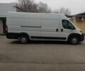 Белый Фиат Дукато, объемом двигателя 2.3 л и пробегом 244 тыс. км за 17100 $, фото 12 на Automoto.ua