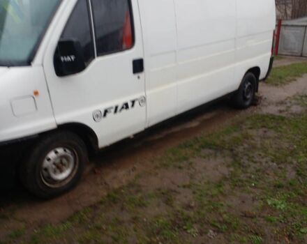 Білий Фіат Дукато, об'ємом двигуна 2.5 л та пробігом 250 тис. км за 1800 $, фото 1 на Automoto.ua