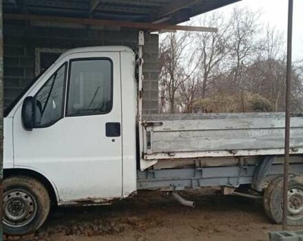 Белый Фиат Дукато, объемом двигателя 2.8 л и пробегом 250 тыс. км за 2500 $, фото 2 на Automoto.ua