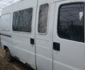 Белый Фиат Дукато, объемом двигателя 2.5 л и пробегом 441 тыс. км за 1657 $, фото 1 на Automoto.ua