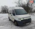 Білий Фіат Дукато, об'ємом двигуна 1.9 л та пробігом 350 тис. км за 1850 $, фото 1 на Automoto.ua