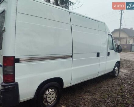 Белый Фиат Дукато, объемом двигателя 2.8 л и пробегом 300 тыс. км за 3500 $, фото 1 на Automoto.ua