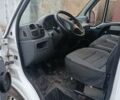 Белый Фиат Дукато, объемом двигателя 2.5 л и пробегом 100 тыс. км за 3000 $, фото 4 на Automoto.ua