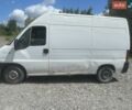 Белый Фиат Дукато, объемом двигателя 2.3 л и пробегом 442 тыс. км за 2500 $, фото 1 на Automoto.ua