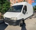 Белый Фиат Дукато, объемом двигателя 2.8 л и пробегом 265 тыс. км за 6500 $, фото 1 на Automoto.ua