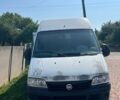 Белый Фиат Дукато, объемом двигателя 2.8 л и пробегом 460 тыс. км за 4800 $, фото 1 на Automoto.ua