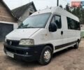 Білий Фіат Дукато, об'ємом двигуна 2.8 л та пробігом 305 тис. км за 4150 $, фото 1 на Automoto.ua