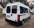 Білий Фіат Дукато, об'ємом двигуна 2.8 л та пробігом 305 тис. км за 4150 $, фото 11 на Automoto.ua