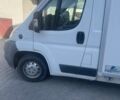 Білий Фіат Дукато, об'ємом двигуна 0 л та пробігом 12 тис. км за 11500 $, фото 2 на Automoto.ua
