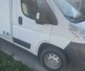 Білий Фіат Дукато, об'ємом двигуна 0 л та пробігом 12 тис. км за 11500 $, фото 7 на Automoto.ua