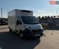 Белый Фиат Дукато, объемом двигателя 2.3 л и пробегом 187 тыс. км за 15400 $, фото 1 на Automoto.ua