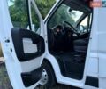 Белый Фиат Дукато, объемом двигателя 2.3 л и пробегом 203 тыс. км за 18900 $, фото 38 на Automoto.ua